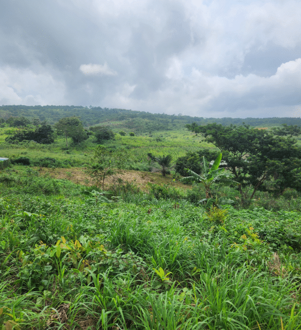 Land For Sale at – Aburi